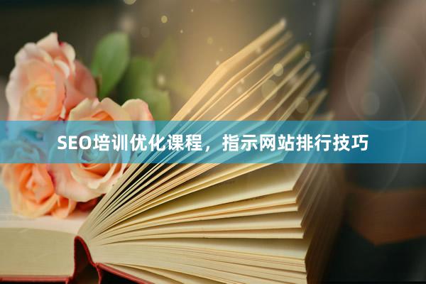 SEO培训优化课程,指示网站排行技巧