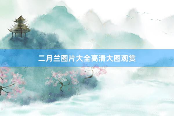 二月兰图片大全高清大图观赏
