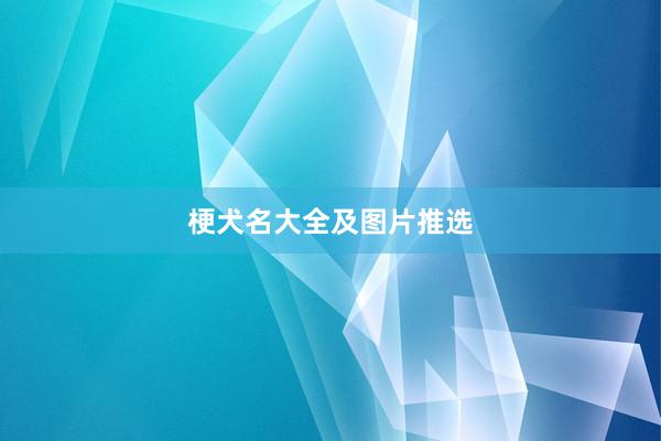 梗犬名大全及图片推选