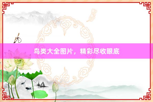 鸟类大全图片，精彩尽收眼底