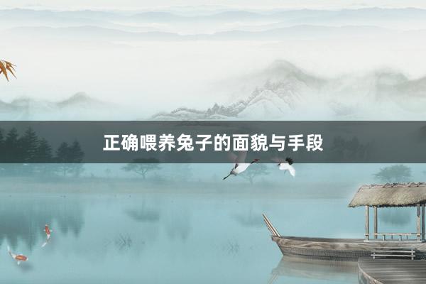 正确喂养兔子的面貌与手段