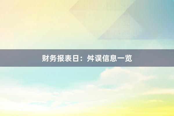 财务报表日：舛误信息一览