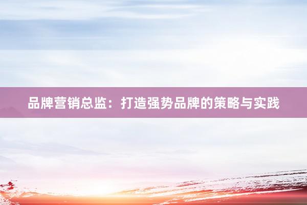 品牌营销总监：打造强势品牌的策略与实践