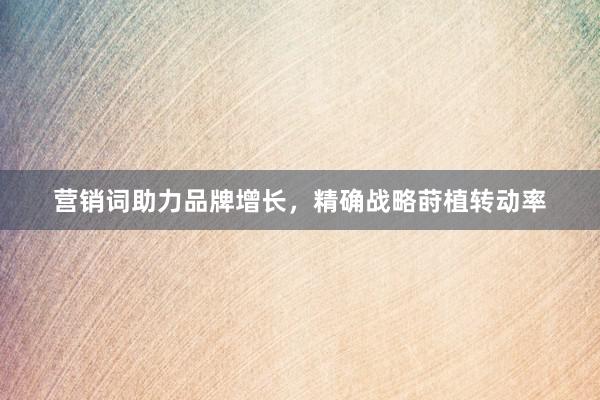 营销词助力品牌增长，精确战略莳植转动率